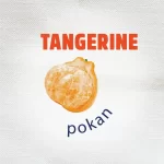 TANGERINE-FRUIT